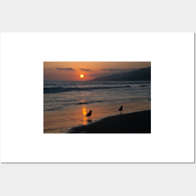 Heermann’s gull at sunset on Zuma beach. Wall Art by RichardGibb